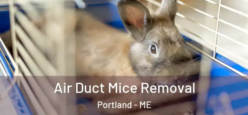  Air Duct Mice Removal Portland - ME