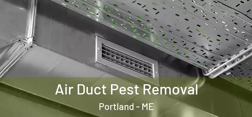 Air Duct Pest Removal Portland - ME