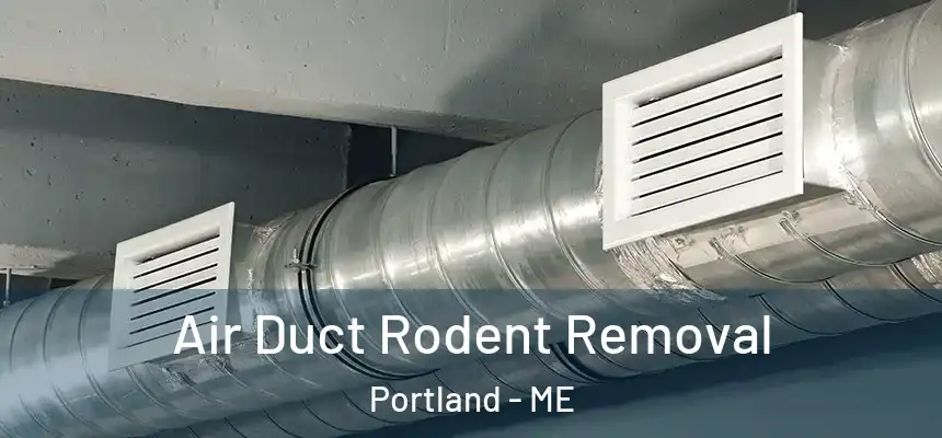Air Duct Rodent Removal Portland - ME