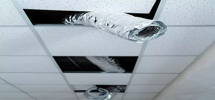 Our Air Duct Pet Hair Removal Services in Portland, ME