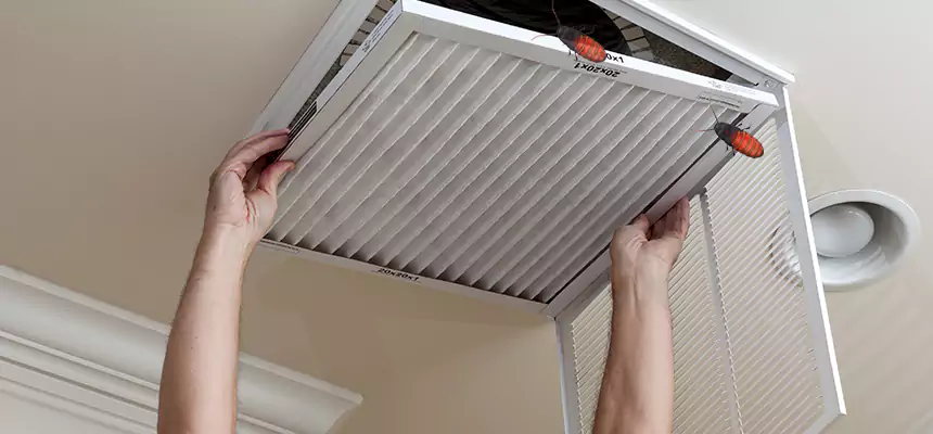Our Insect Removal from Air Ducts Services in Portland, ME