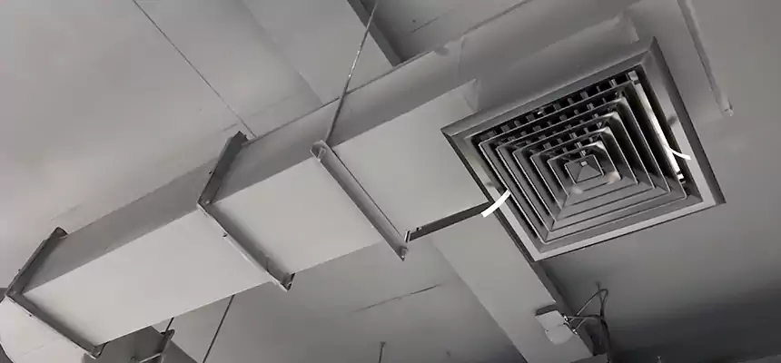 Our Pest Removal From Ducts Services in Portland, ME