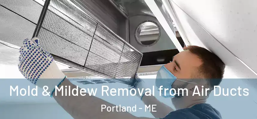 Mold & Mildew Removal from Air Ducts Portland - ME