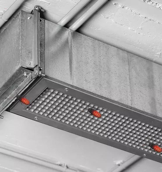 About Air Duct Cockroach Removal in Portland, ME