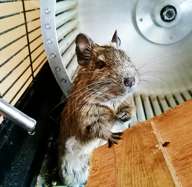 Why Homeowners & Businesses Trust Us Portland, ME