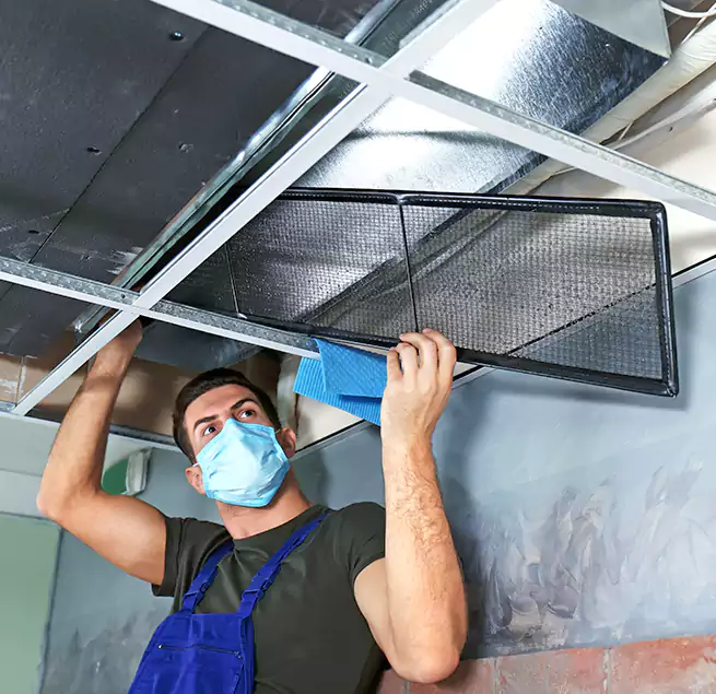 Why Homeowners Businesses Trust Us in Portland, ME