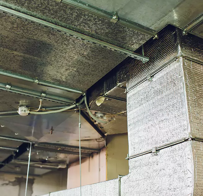 Why Homeowners & Businesses Trust Us in Portland, ME?